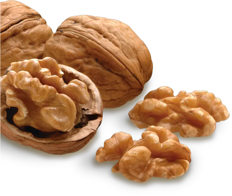 Nut Png Image Transparent Walnuts Nuts Png Nut Png