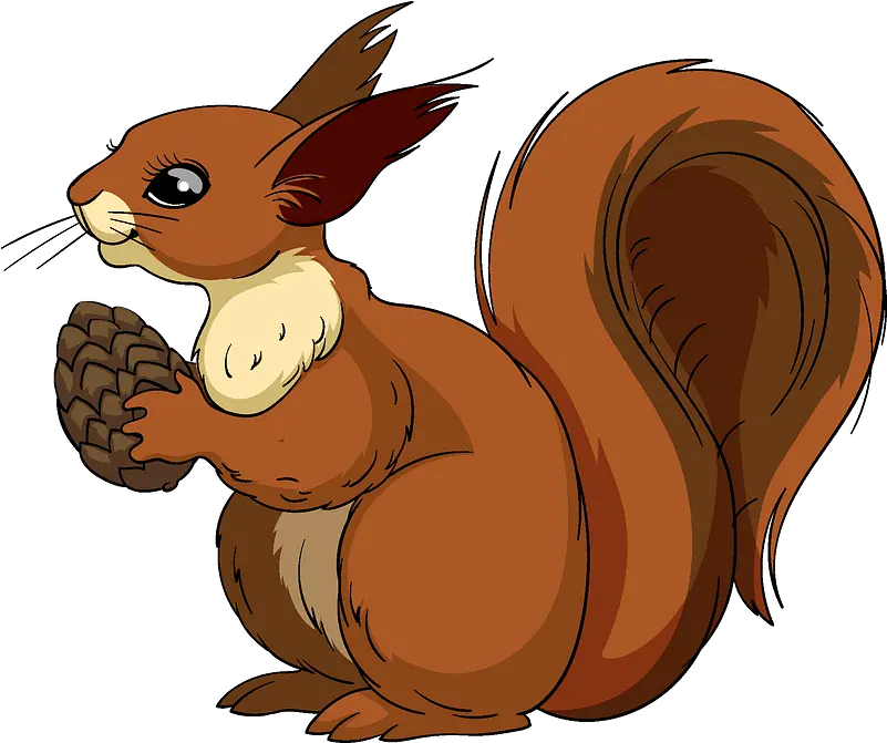 Squirrel Clipart Eurasian Red Squirrel Png Squirrel Transparent