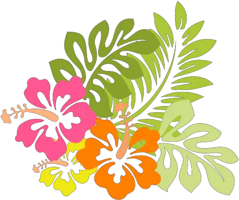 Hibiscus Png Svg Clip Art For Web Download Clip Art Png Art Colorful Flower Design Hawaiian Lady Icon