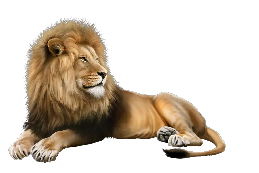 Free Png Lion Konfest Lion Png Lion Roar Png