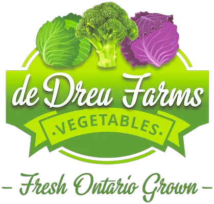 De Dreu Farms U2013 Cabbage Broccoli U0026 Kale Fresh Ontario Grown Broccoli Png Cabbage Transparent Background