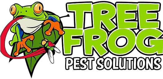 Pest Control Tree Frog Solutions United States Clip Art Png Frog Png