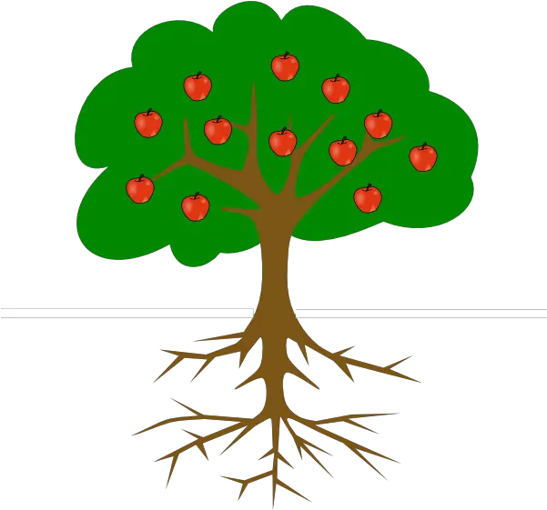 Download Clip Art Tree With Roots Tree Clipart With Roots Mango Tree Root System Png Tree Clipart Transparent Background