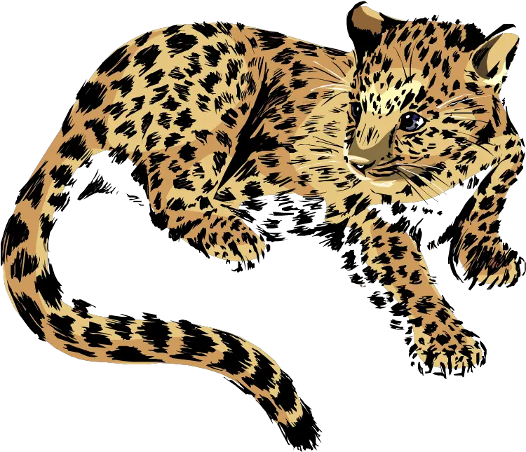 Baby Jaguar Png Transparent Image Jaguar Clipart Png Jaguar Png