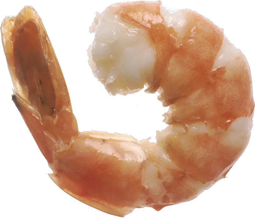 Spinning Shrimp 1 Shrimp Png Shrimp Png