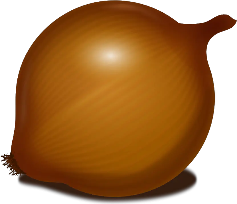 Onion Png Image Onion Clipart No Background Onion Png