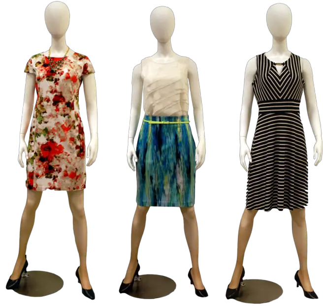 Vector Free Library Professional Semi Mannequin With Dress Png Mannequin Png