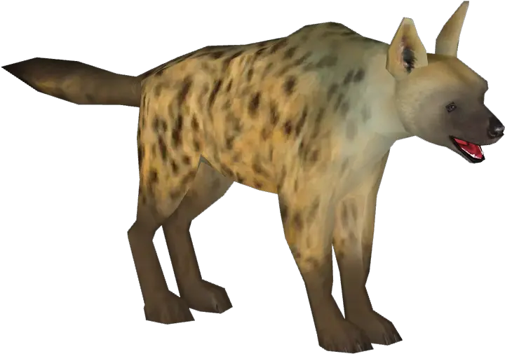 Spotted Hyena Png