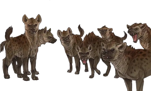 Lioden Lioden Hyenas Png Hyena Png