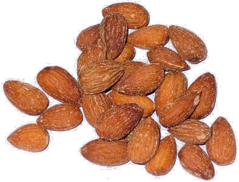 Buddy Squirrel Png Almonds