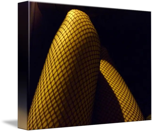 Fishnets And Neon By Paradigm Photography Architecture Png Fishnet Pattern Png