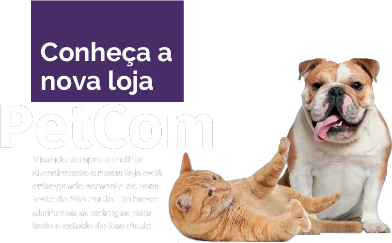 Index Of Wp Contentthemesstorefrontassetsimg Pet Sem Fundo Png Pet Png