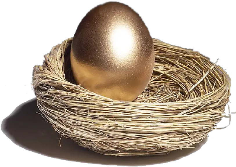 Download Nest Transparent Hq Png Image Egg On Nest Png Nest Png