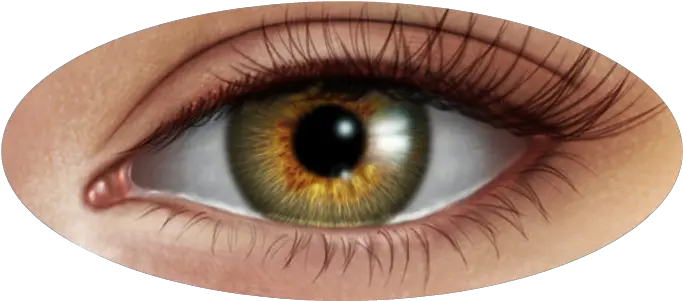 Eyes Png Icon Paint Eyes In Photoshop Eyes Transparent