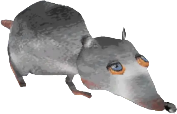 Transparent Rat 3d Movie Maker Rat Png Rat Transparent