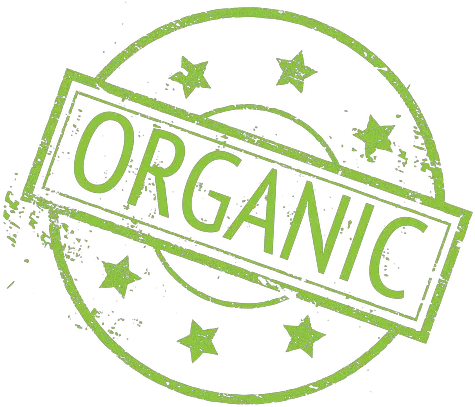 Organic Food Ecology Label Badge Transparent Png U0026 Svg Alimentos Organicos Png Organic Logos