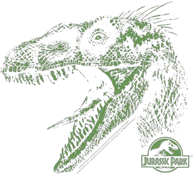 Download Hd Jurassic Park Raptor Mount Womenu0027s T Shirt Canine Tooth Png Jurassic Park Logo Template