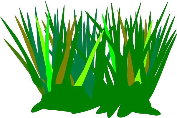 Green Wheat Grass Tuft Clip Art Vector Clip Cartoon Grass Vector Transparent Png Grass Vector Png