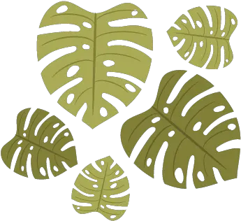 Quick Tip How To Create A Monstera Leaf Pattern In Adobe Illustration Png Monstera Leaf Png