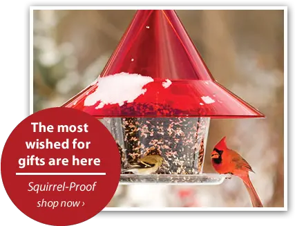 Duncraft Bird Feeders Houses Seed Baths Bird Food Png Bird Feeder Icon png