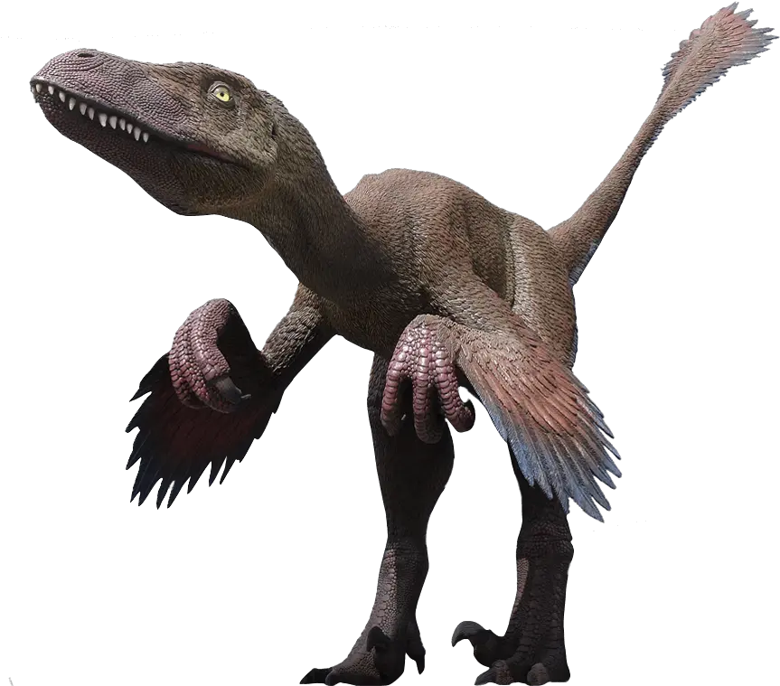 Velociraptor Png Clipart Deinonychus Png Velociraptor Png