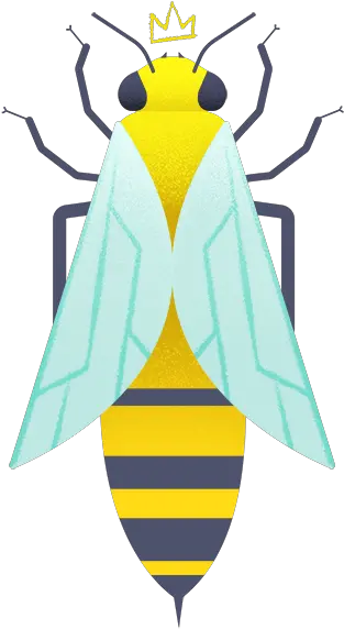 Honey Bees Overview Types Importance Curiosities And Future Parasitism Png Bee Icon Vector
