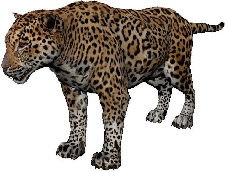 Jaguar Green Hell Png Jaguar Png