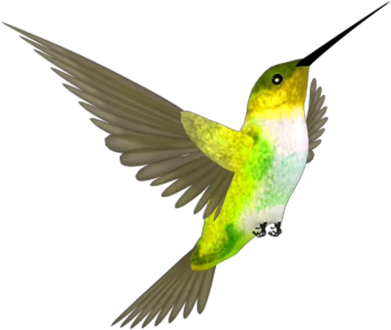 Hummingbird Png Clipart Hummingbird Png Hummingbird Png