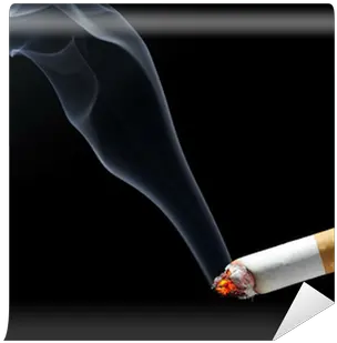 Cigarette Smoke Wall Mural U2022 Pixers We Live To Change Burning Cigarette Png Cigarette Smoke Png Transparent