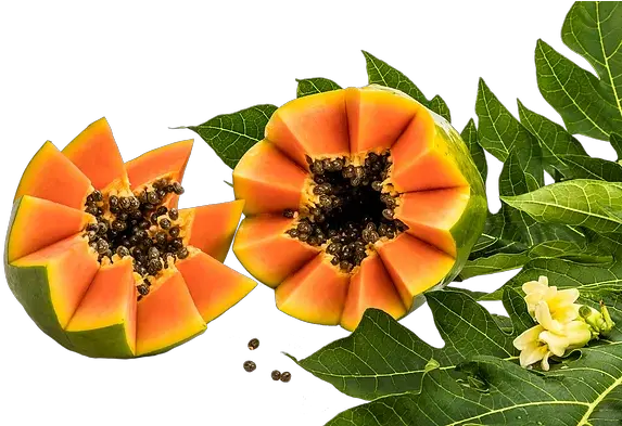 Imperial Papaya Superfood Png Papaya Png