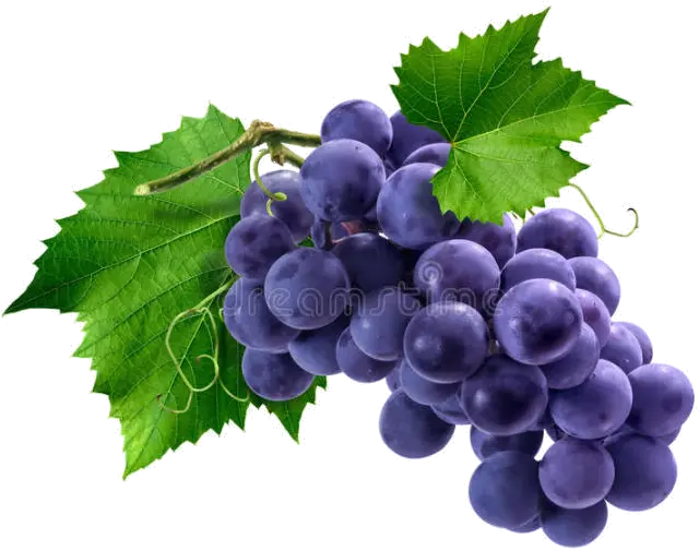 Download Bunch Of Purple Grapes Hd Png Uokplrs Grape Grape Png