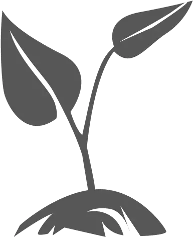 Growing Plant Transparent U0026 Png Clipart Free Download Ywd Transparent Plant Icon Png Plants Transparent Background