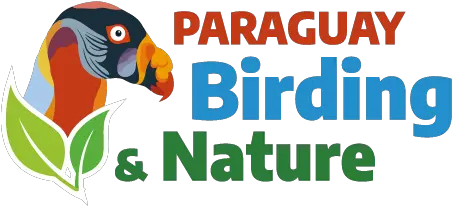 Paraguay Birding U0026 Nature Pbn King Vulture Png Nature Logo