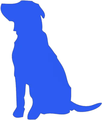 Tv Commercial Video Production Daytona Animated Blue Dog Png Tv Commercial Icon