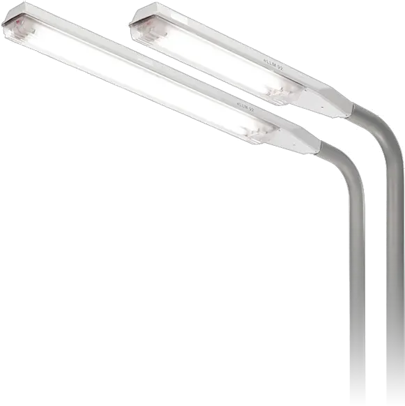 Download Ceag Light Fitting For Pole Mounting Explosion Fluorescent Lamp Png Light Pole Png
