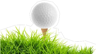 90 Golf Png Image Collection Free To Golf Ball In Grass Png Golf Png