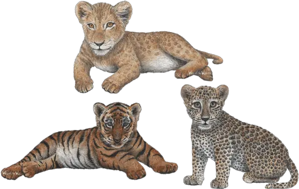 Download Leopard Transparent Jungle Animals Lion Cub Wall Leopard And Lion Cub Png Jungle Animals Png