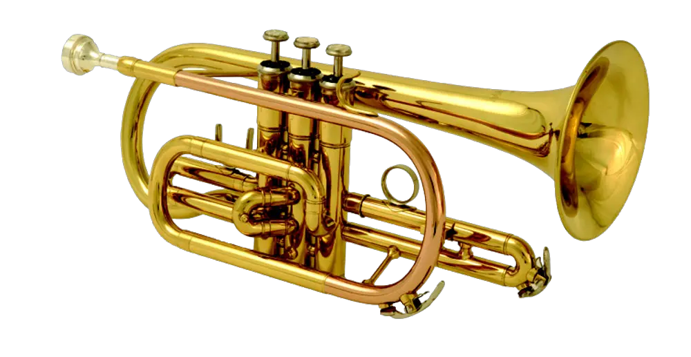 Transparent Trombone Hd Brass Instruments Png Trombone Transparent