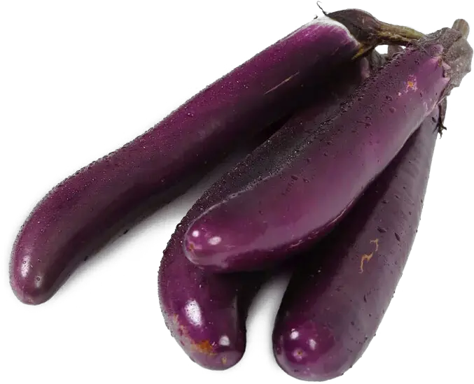 Eggplant Material Png Download Eggplant Eggplant Png