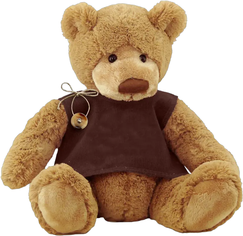 Teddy Bear Png Clipart