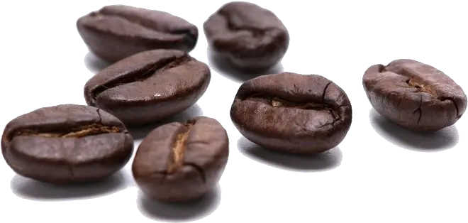 Coffee Beans Transparent Free Png Transparent Coffe Bean Png Free Beans Png