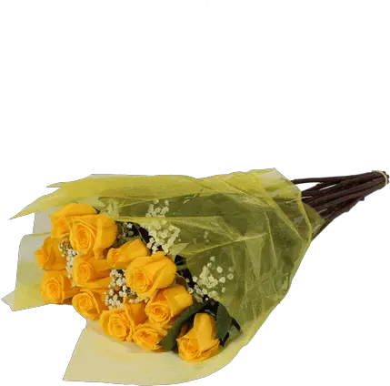 Download Hd Yellow Roses Rose Transparent Png Image Tamale Yellow Roses Png