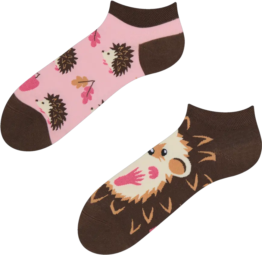 Ankle Socks Hedgehog Dedoles Lenkové Ponožky Png Hedgehog Png