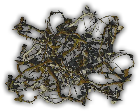 Thorn Thicket Png U0026 Free Thicketpng Transparent Thorn Vines D And D Transparent Thorn Png
