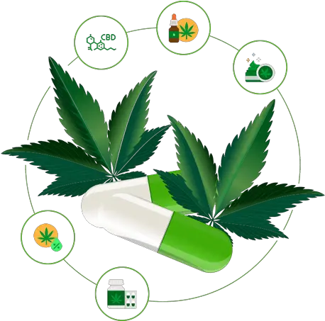 Cbd U0026 Marijuana Marketing Agency Cannabis Seo Medicinal Cannabis Png Pot Leaf Icon