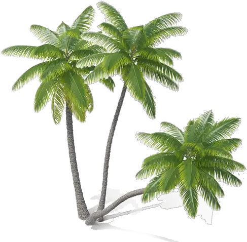 Home Great Bay Distributors High Resolution Palm Trees Png Hd Riff Raff Neon Icon Zip