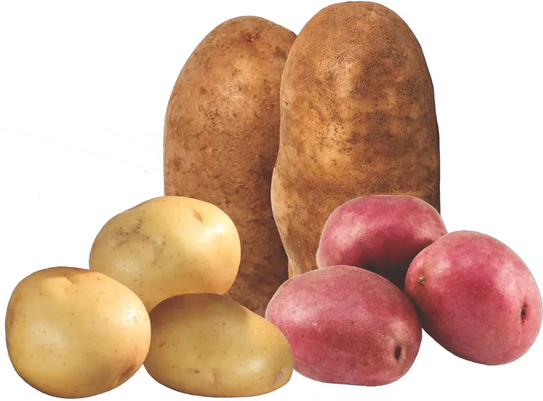 Progressive Produce Guide Tuber Png Potatoes Png