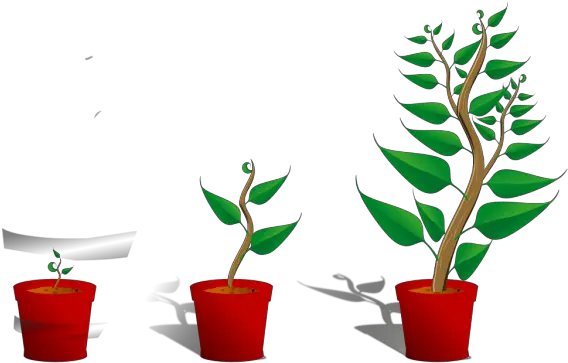 Plant Growth Png Svg Clip Art For Web Download Clip Art Getting To Know Plants Growth Png