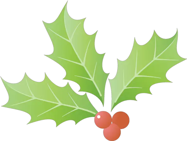 Christmas Leaf Holly Tree For Png Leaves