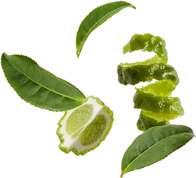Decaffeinated Black Tea Leaves Bergamot Oil Earl Grey Tea Hoja De Bergamota Png Tea Leaves Png